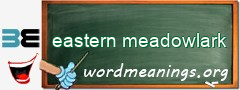 WordMeaning blackboard for eastern meadowlark